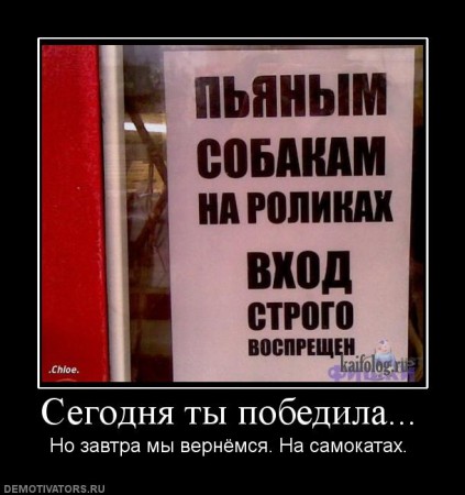 109481_segodnya-tyi-pobedila