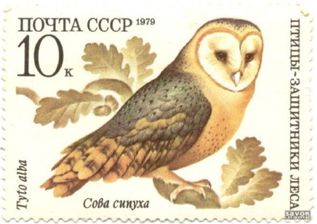 236-1