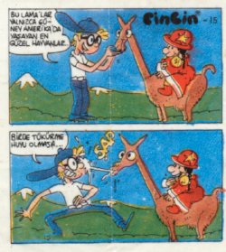Cin-Cin 016
