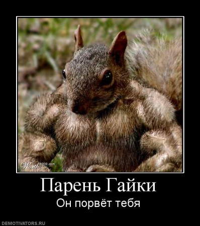 716153_paren-gajki