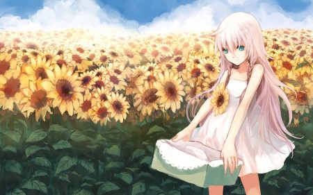 BestHDWallpapersPack1295_39