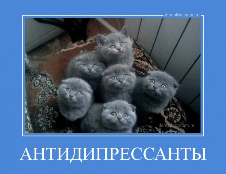 demotivatorium_ru_antidipressanti_47893