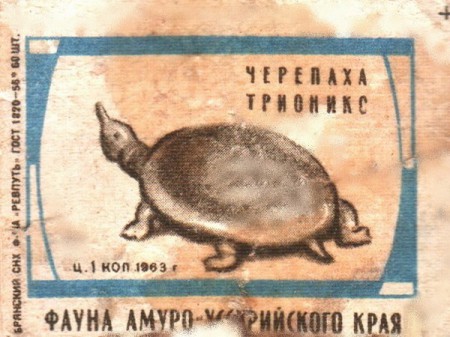 129
