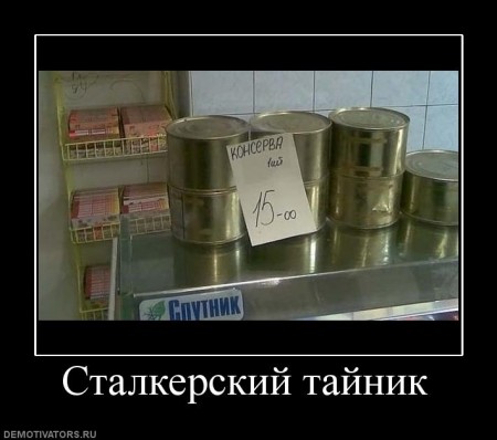 798424_stalkerskij-tajnik