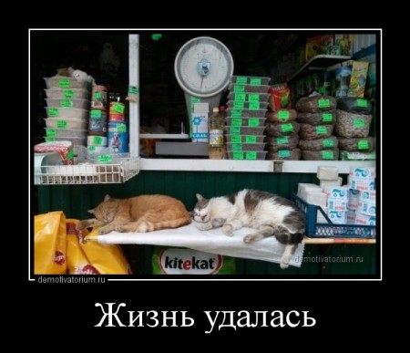 demotivatorium_ru_jizn_udalas_44768