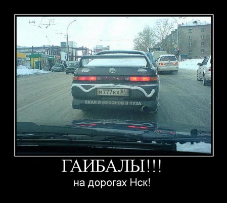 tmphn1EdG