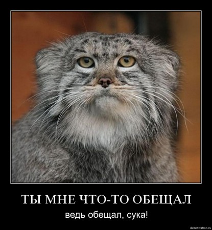 i8ubbxhviu0h