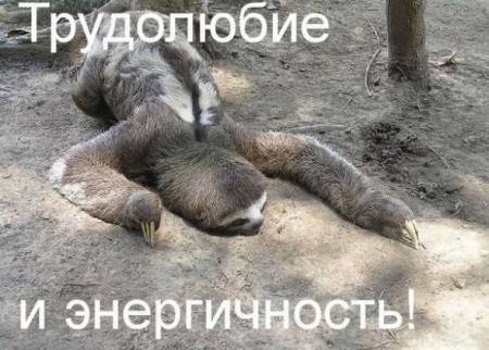 2834c8b85b72fbe3f366bf50d04_prev