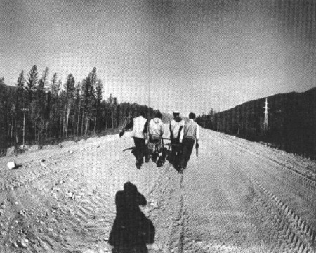29-113