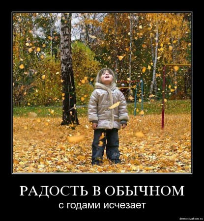 68aim0e9pt831