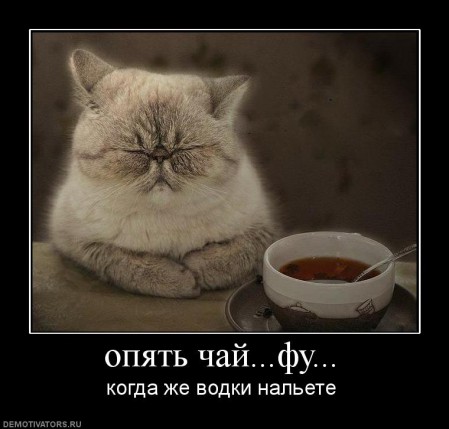 30923_opyat-chajfu