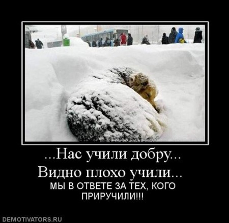 35280_nas-uchili-dobru-vidno-ploho-uchili-