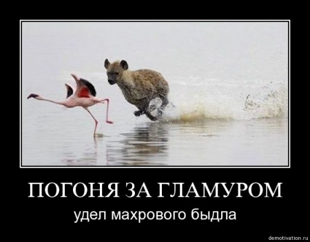 fl3gk1j27dx5
