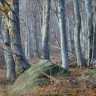 Обои с прекрасными уголками природы 881