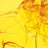 BestHDWallpapersPack1309_30