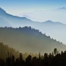 Oboi_s_prekrasnymi_ugolkami_prirody_888_51