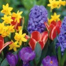 BestHDWallpapersPack1302_29
