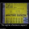 744975_eto-kruche-obyichnogo-karate