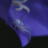 BestHDWallpapersPack1295_90