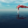 Oboi_3D_Grafika_75_103