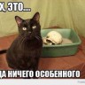 Котэ