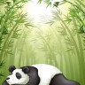 BestHDWallpapersPack1302_112