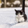 BestHDWallpapersPack1302_26