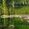 Oboi_s_prekrasnymi_ugolkami_prirody_854_53