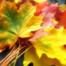 BestHDWallpapersPack1302_23