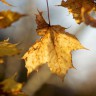 BestHDWallpapersPack1302_53