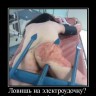 202120_lovish-na-elektroudochku