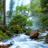 Oboi_s_prekrasnymi_ugolkami_prirody_895_27