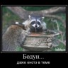 просрпо