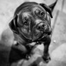 BestHDWallpapersPack1302_144