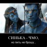 синька чмо