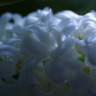 BestHDWallpapersPack1302_109