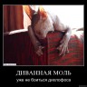 moly