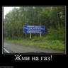 828786_zhmi-na-gaz