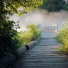 Oboi_s_prekrasnymi_ugolkami_prirody_888_57