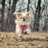 BestHDWallpapersPack1302_6