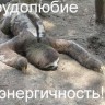 2834c8b85b72fbe3f366bf50d04_prev