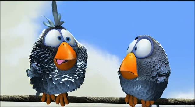 For The Birds