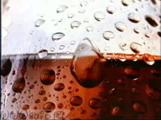Coca-Cola 2