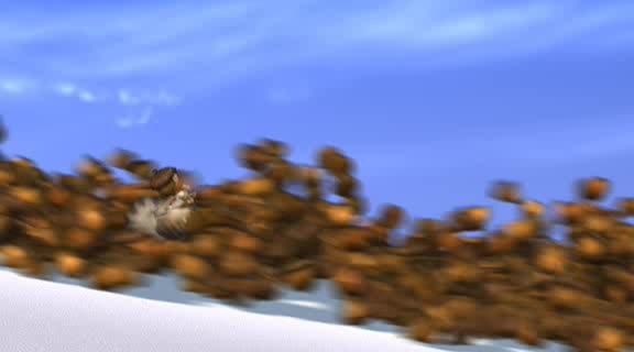 Ice Age