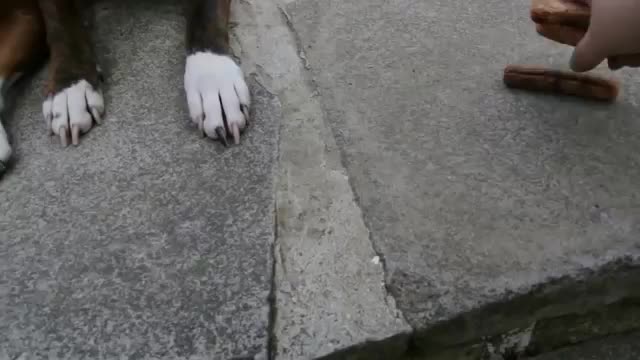 В большой семье не щелкать...