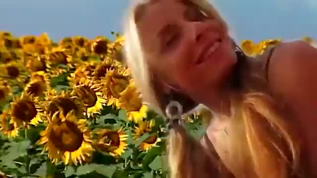 Enjoykin - Семечки