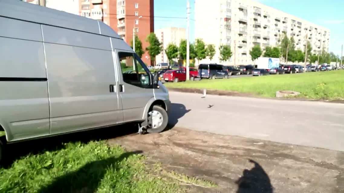 СтопХамСПБ - СтопКонь