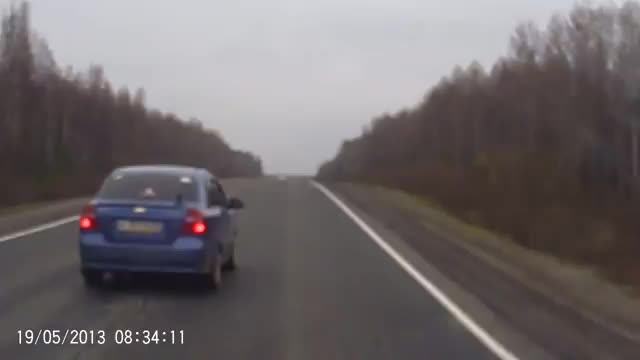 Сбил медведя
