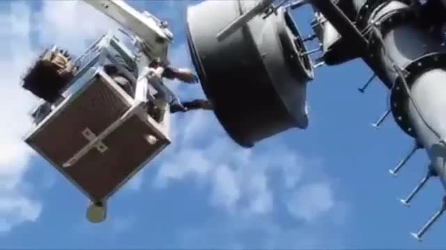 Невероятные запасы белки желудей в антенне