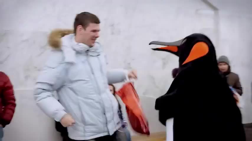 Пингвины в метро